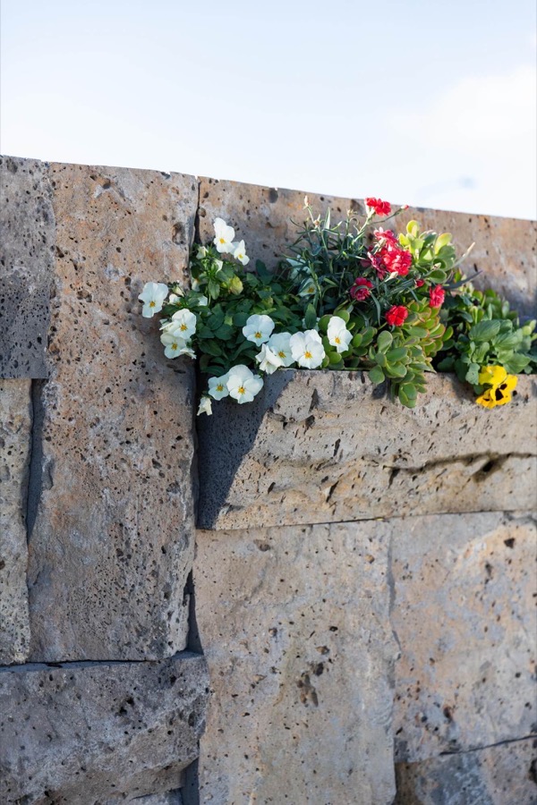 Sculpted stone planter wall with flowers, supplied by Stone Living